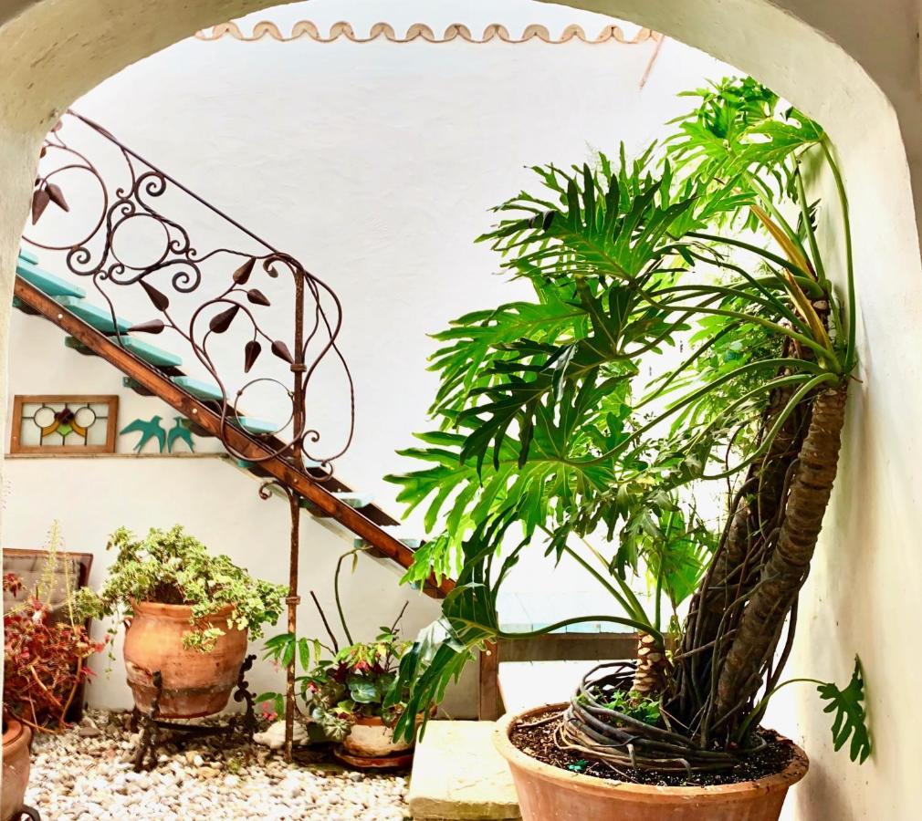 Casa Del Teatro Luxury Casas Vejer Debra Βίλα Vejer de la Frontera Εξωτερικό φωτογραφία
